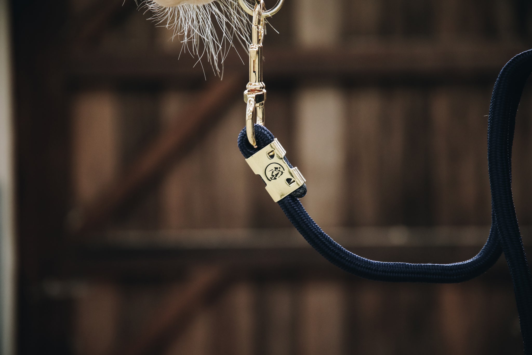 Kentucky Lead Rope Basic