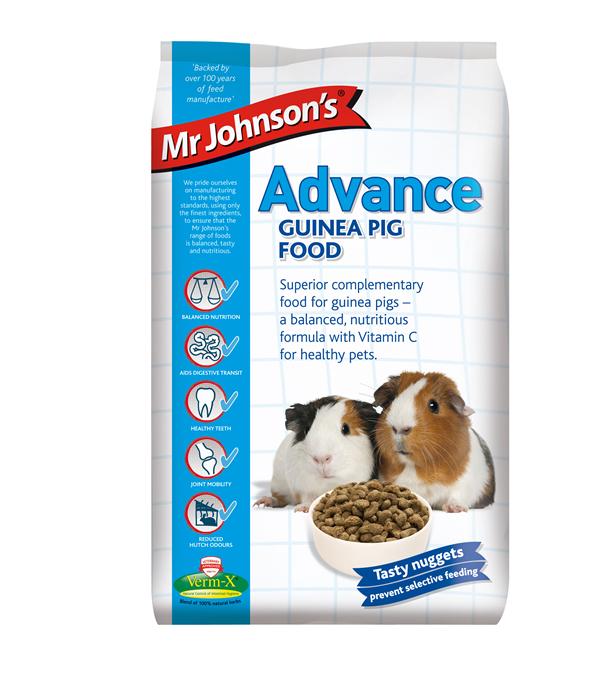 Mr. Johnson Advance Guinea Pig