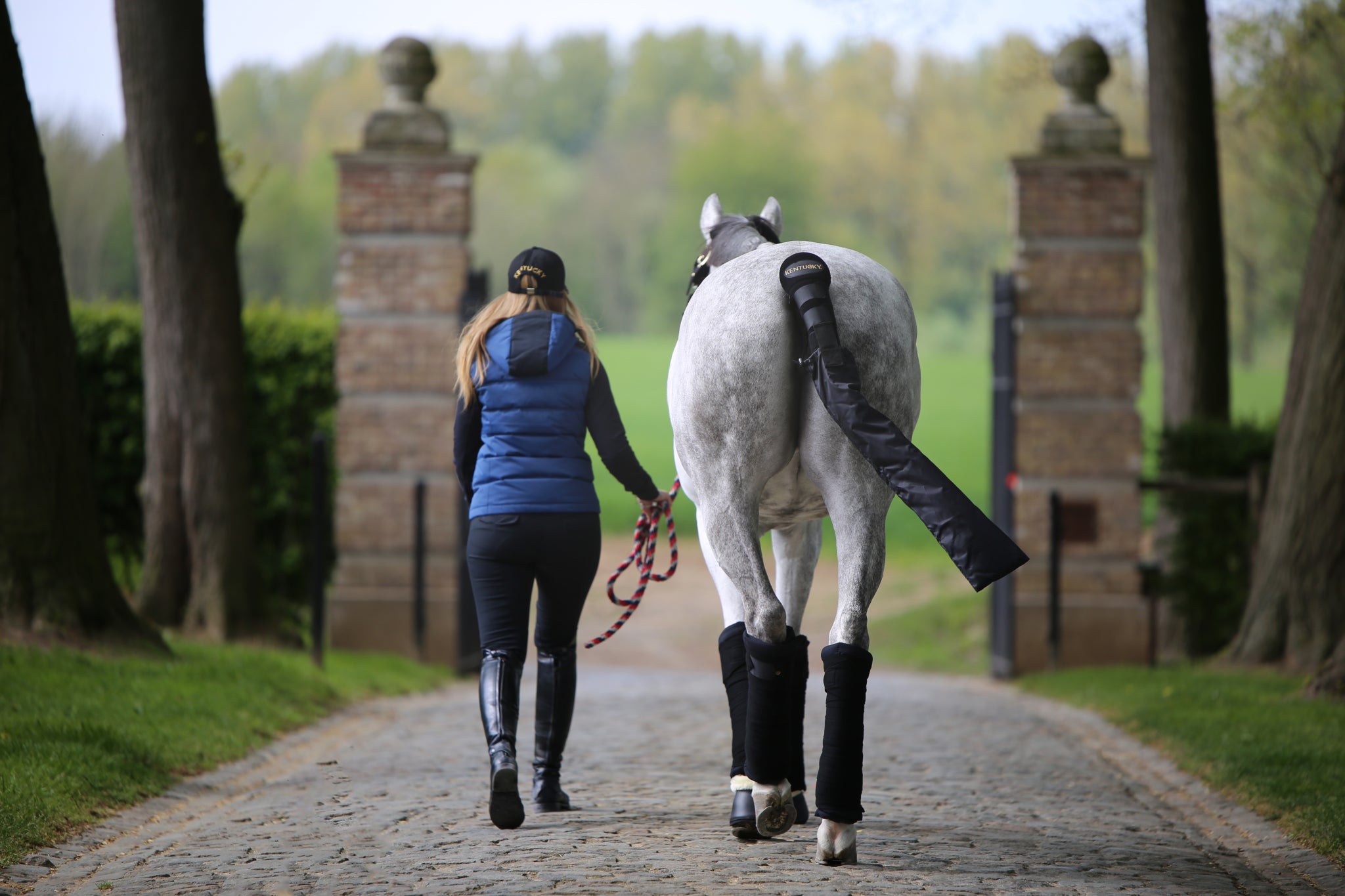 Kentucky Tail Guard