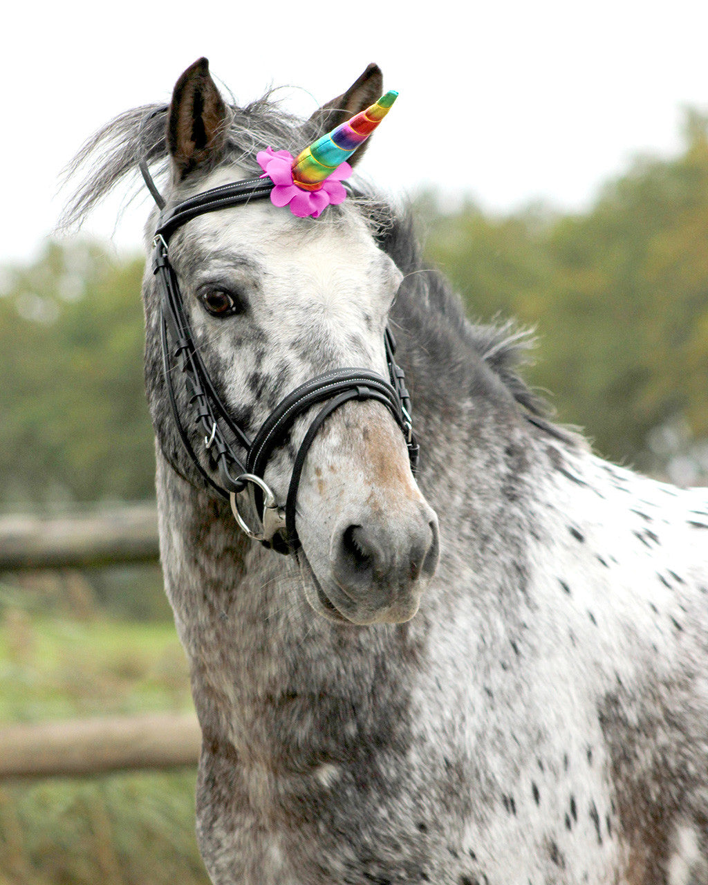 QHP Unicorn horn til pandebåndet