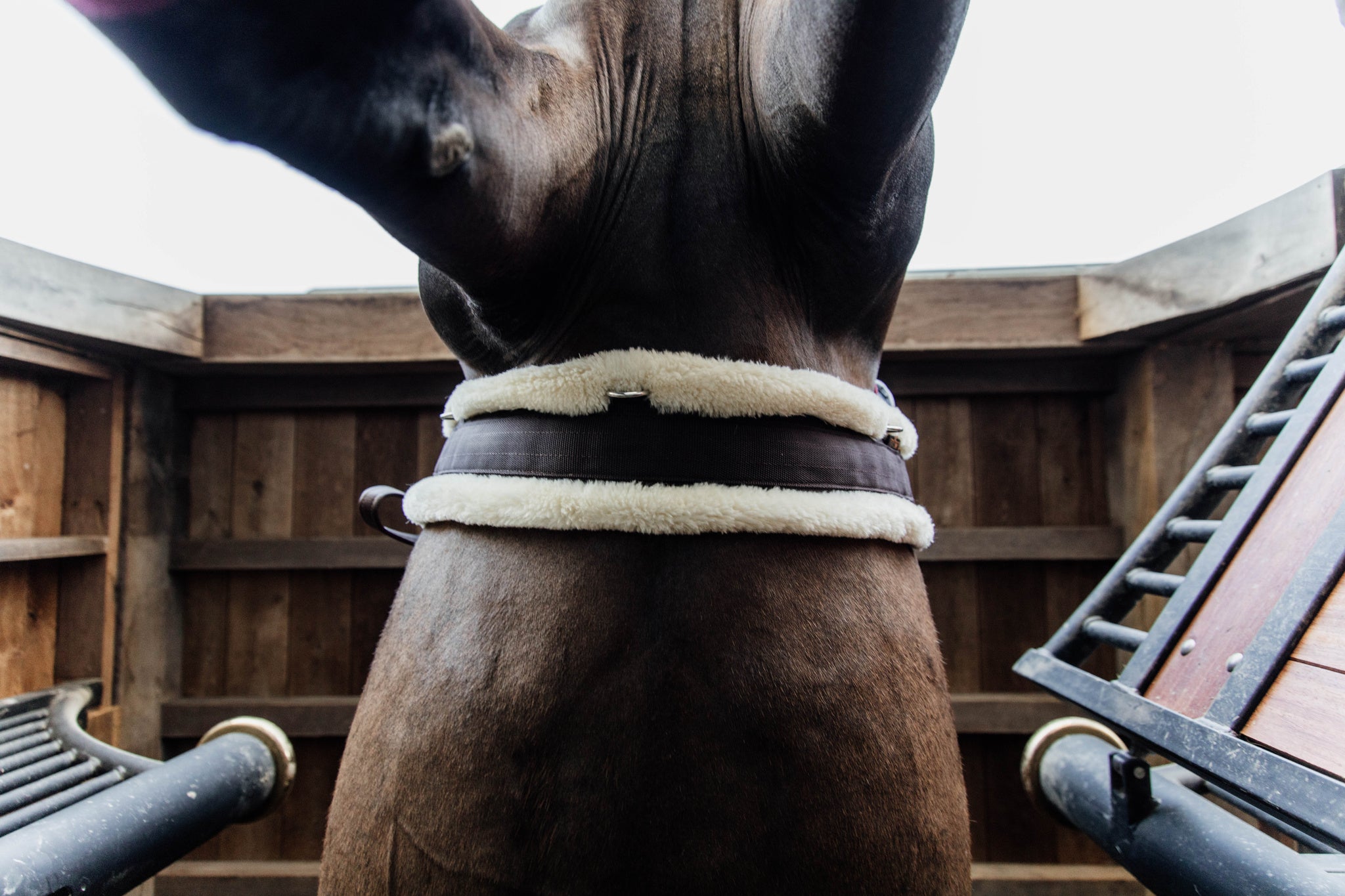 Kentucky Sheepskin Gjord