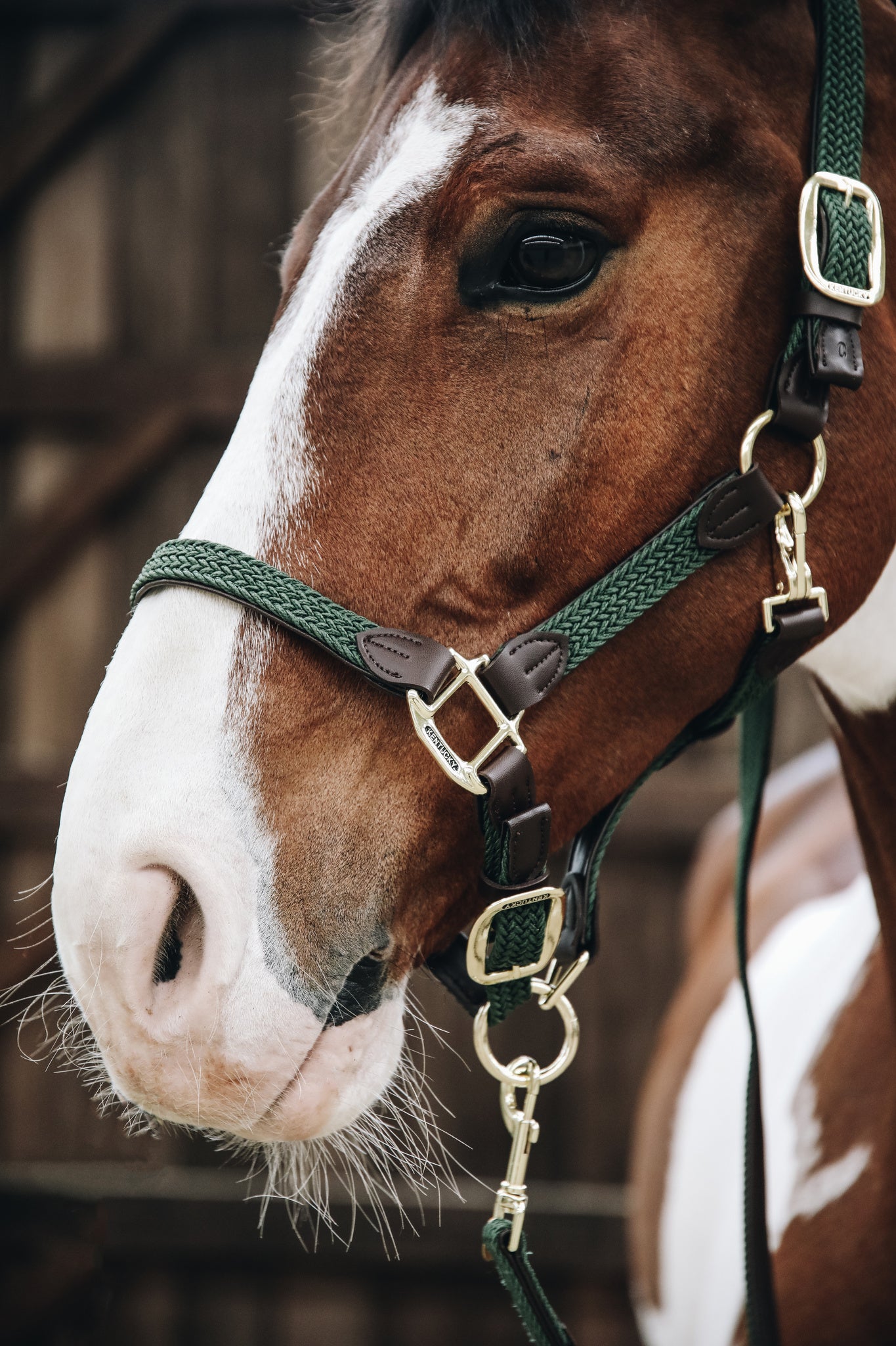 Kentucky Plaited Nylon Grime