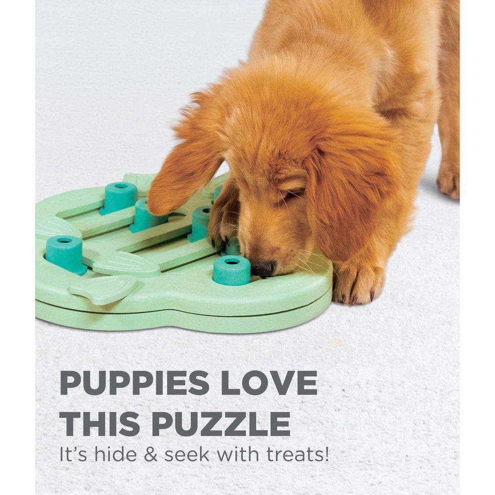 Nina Ottosson Puppy Hide N' Slide