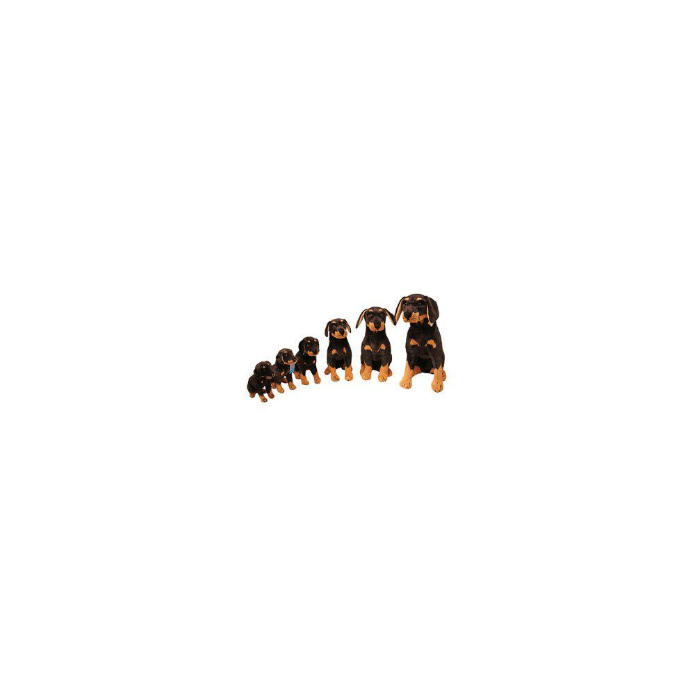 Ozami Siddende Rottweiler