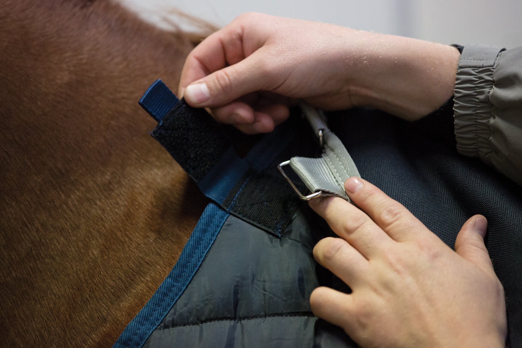Horseware Liner, 400 g.