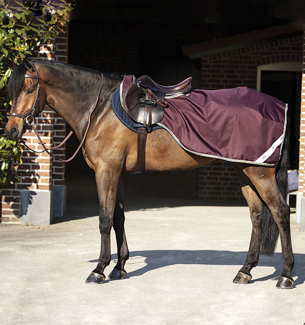 Horseware Amigo Ripstop Competition Sheet - OUTLET