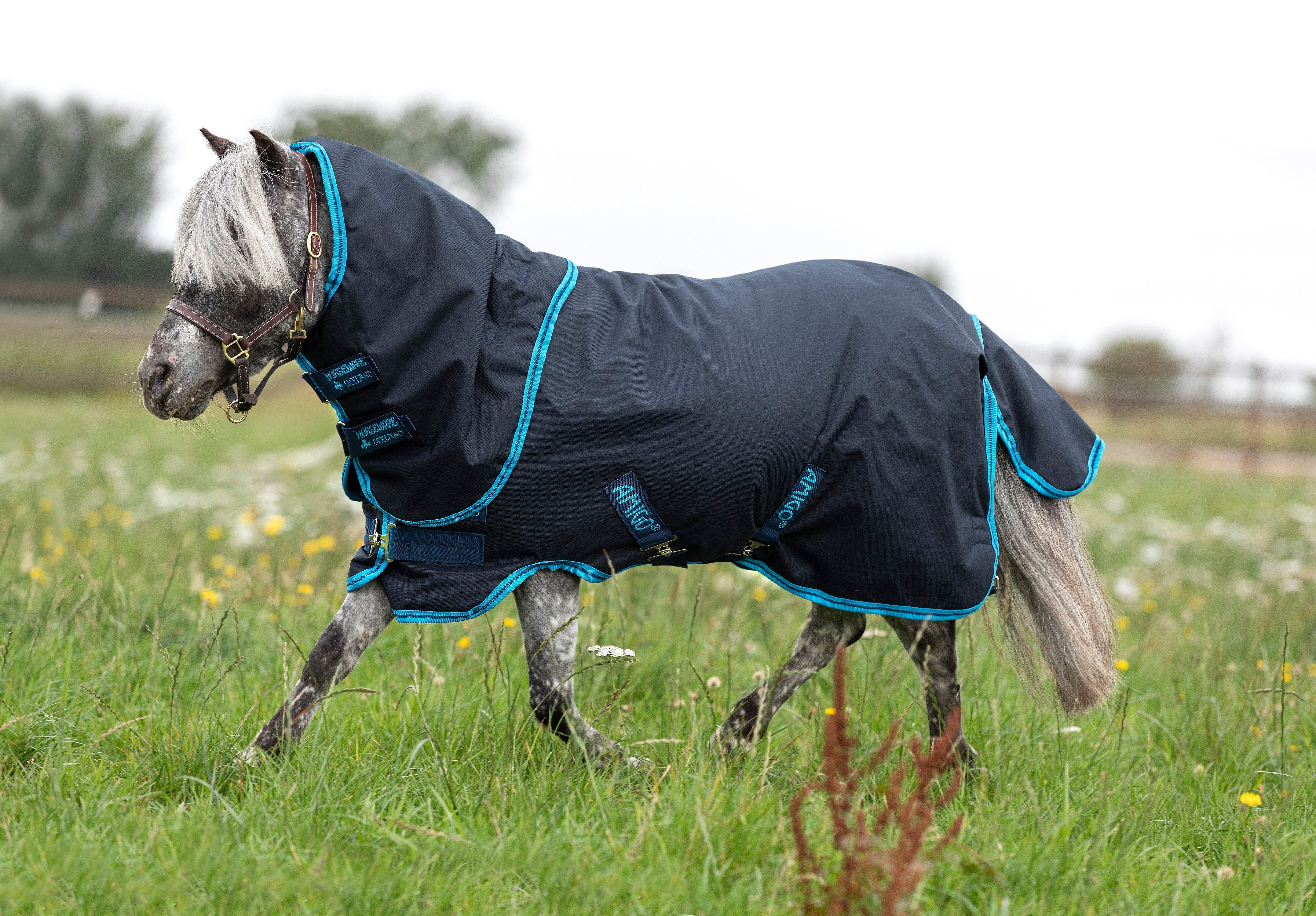 Horseware Amigo Hero 6 Petite Plus 200 g. - OUTLET