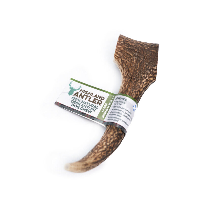 Nova Dog Chews Antler - hjortegevir