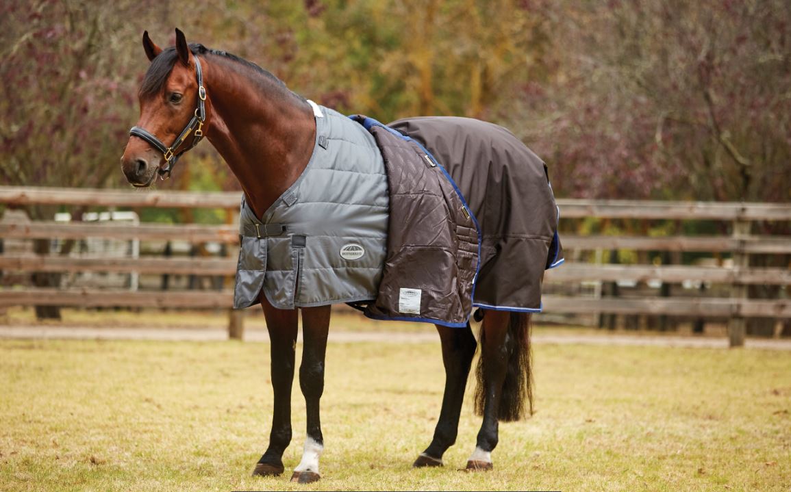 Weatherbeeta Comfitec Ultra Cozi II Detach-A-Neck Medium/Lite 100 g. - OUTLET