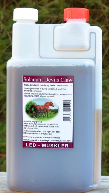 Solanum Devils Claw