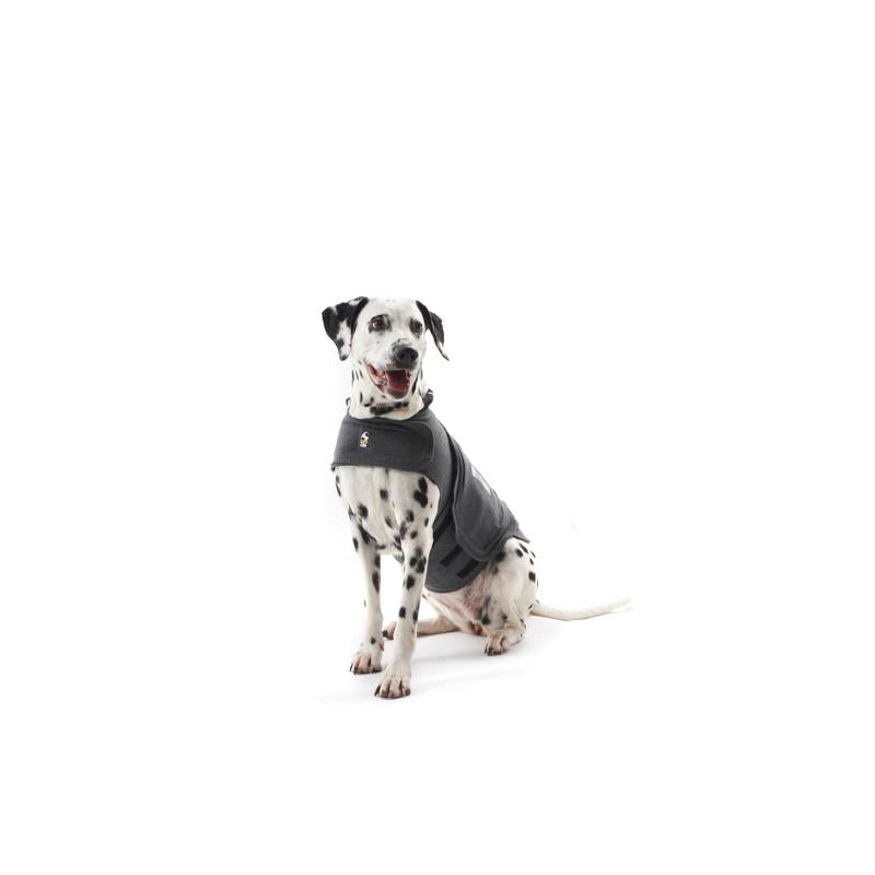 Thunder Shirt Dog Anxiety