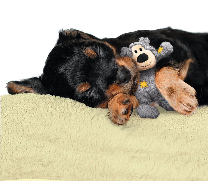 KONG Wild Knots Bamse