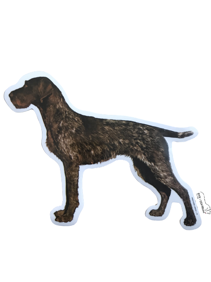 World Stickers Sweeden Klistermærke - Ruhåret Hønsehund