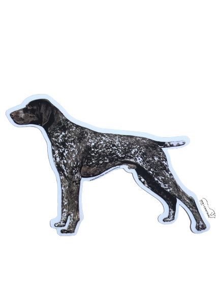 World Stickers Sweeden Klistermærke - Korthåret Hønsehund