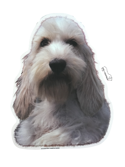 World Stickers Sweeden Klistermærke - Petit Basset Griffon Vendeen