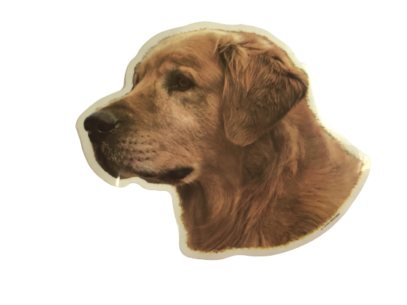 World Stickers Sweeden Klistermærke - Golden Retriever