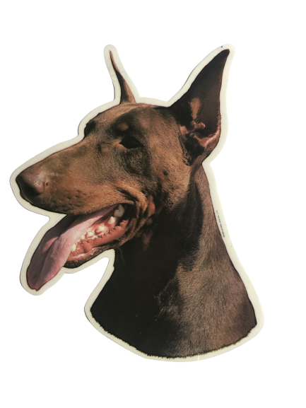 World Stickers Sweeden Klistermærke - Dobermann
