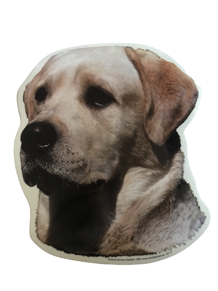 World Stickers Sweeden Klistermærke - Gul Labrador