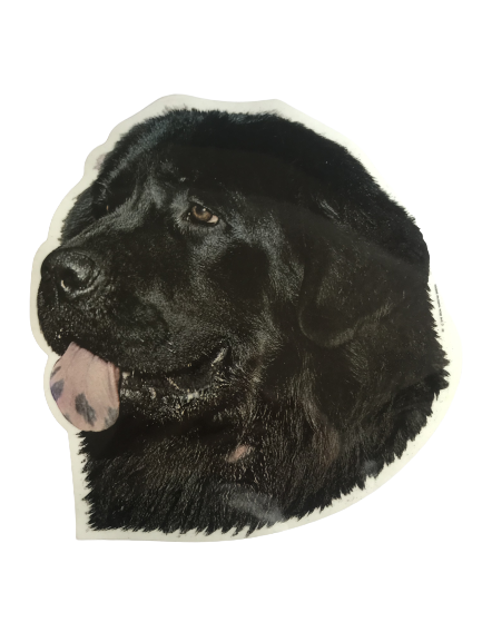 World Stickers Sweeden Klistermærke - Newfoundlænder