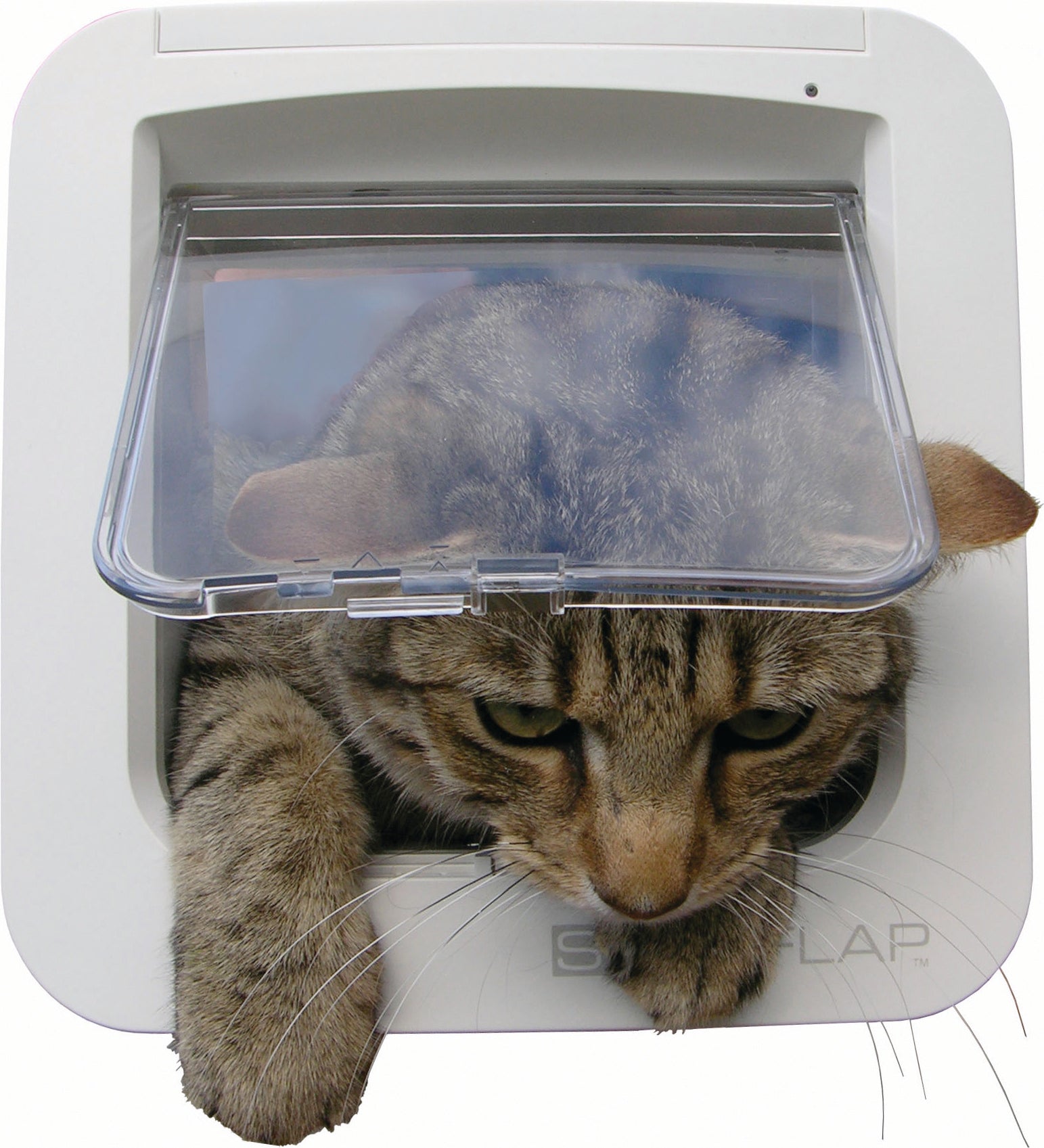 Sureflap Kattelem til chip