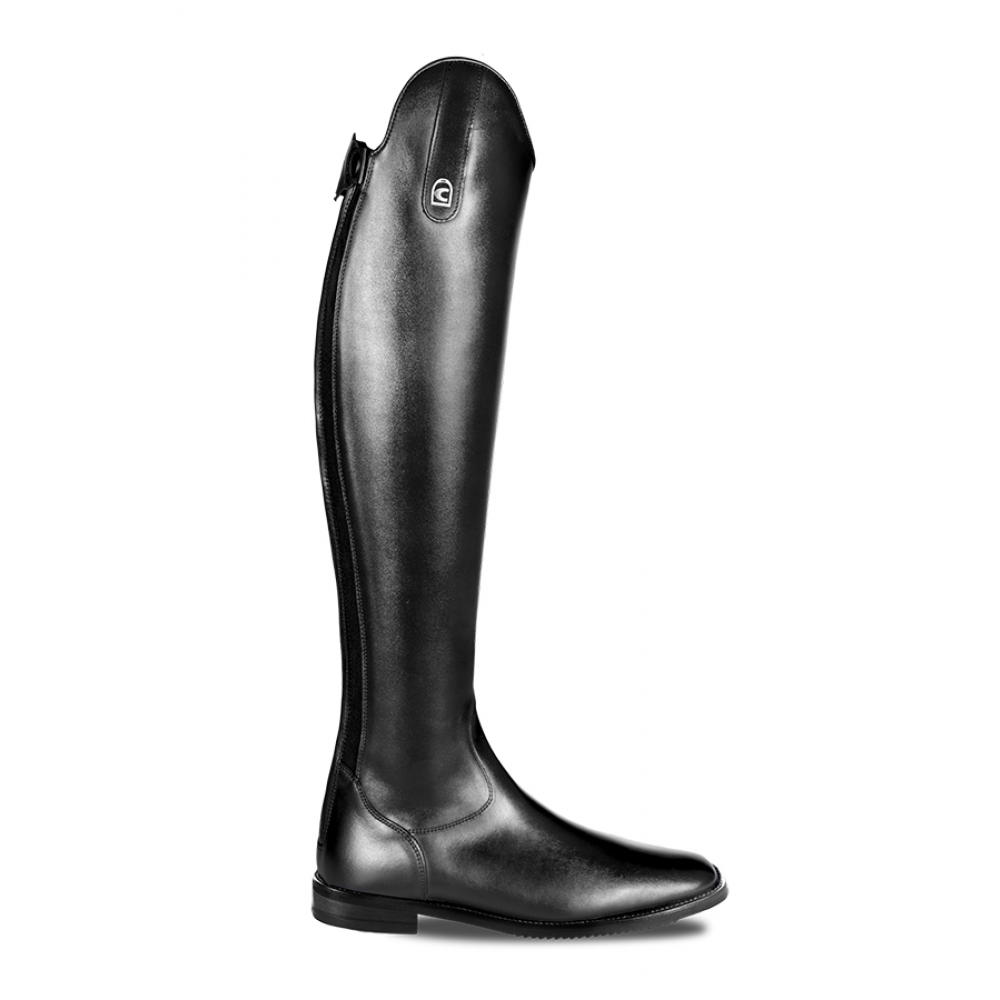 Cavallo Linus Dressage
