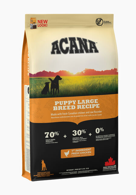 ACANA Puppy Large Breed