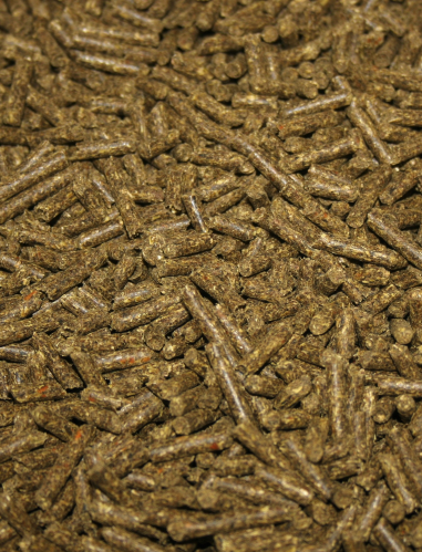 Nordic Horse Gastric Zero