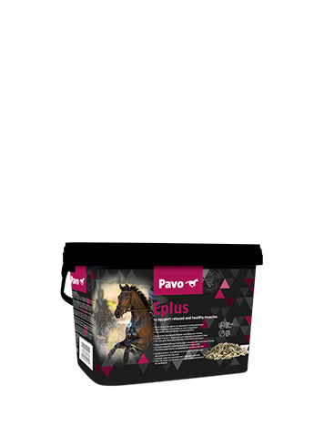 Pavo Eplus - Bestillingsvare