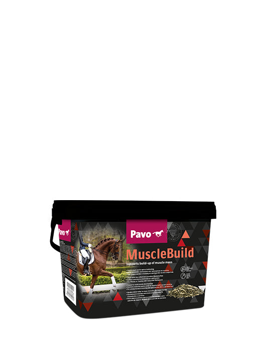 Pavo MuscleBuild