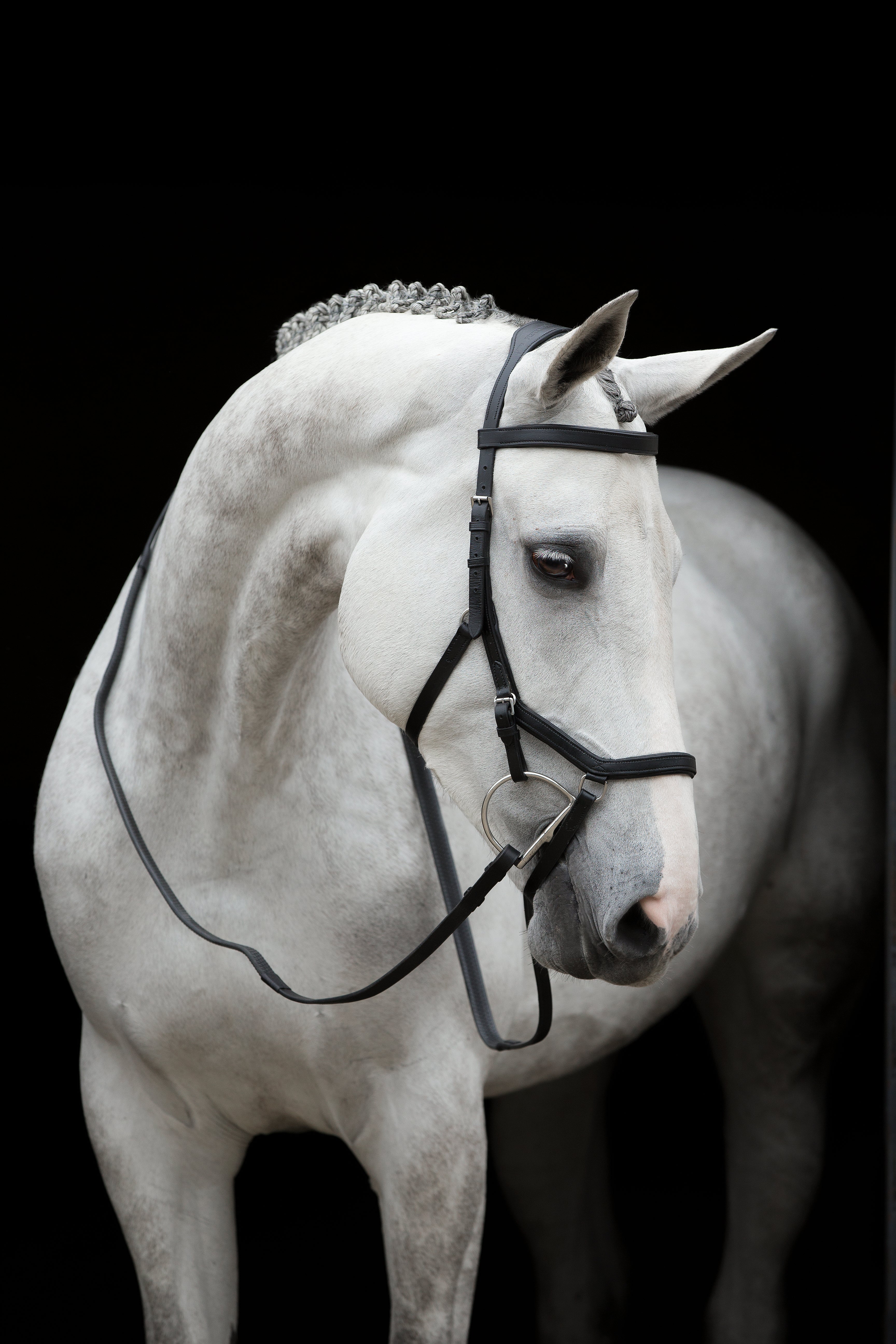 Horseware Rambo Micklem Competition Bridle - OUTLET
