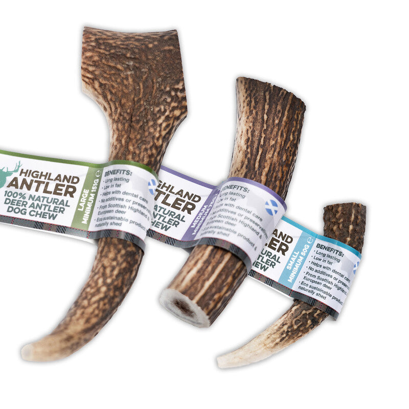 Nova Dog Chews Antler - hjortegevir