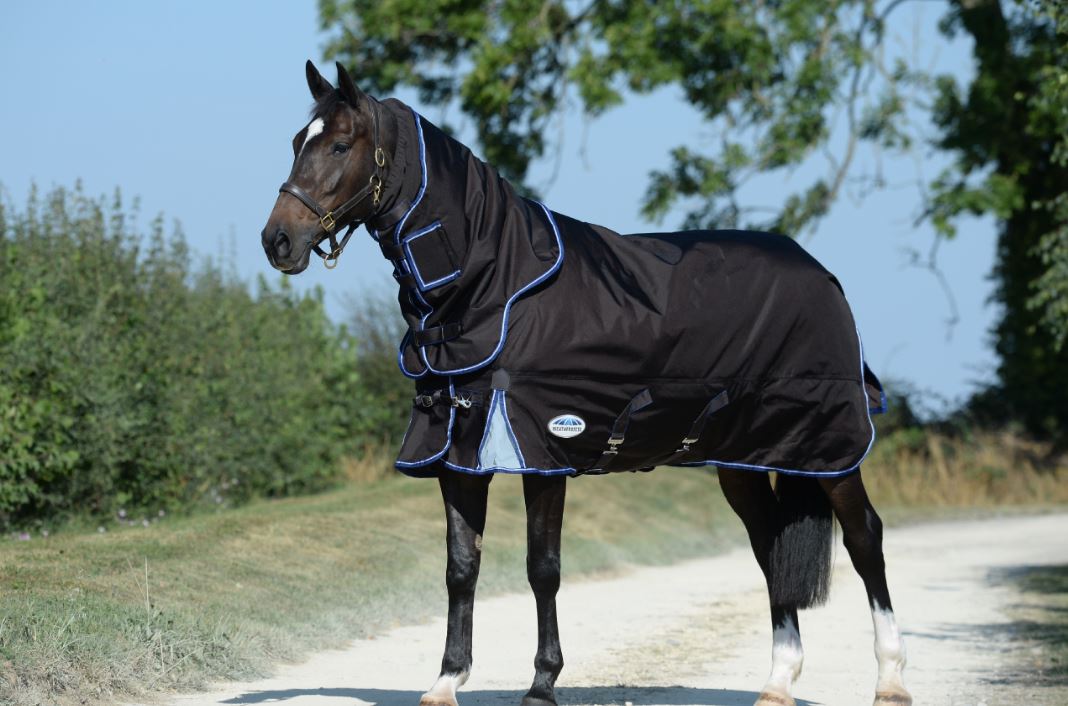 Weatherbeeta Comfitec Ultra Cozi II Detach-A-Neck Medium/Lite 100 g. - OUTLET