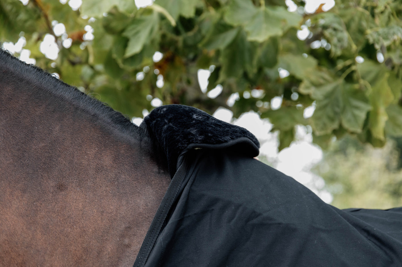 Kentucky  Horse BIB Wither Protection Sheepskin Black