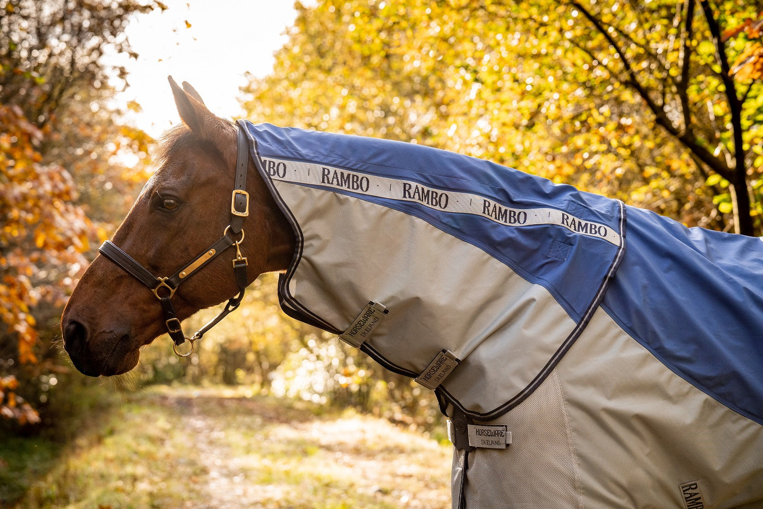 Horseware Rambo Autumn Series