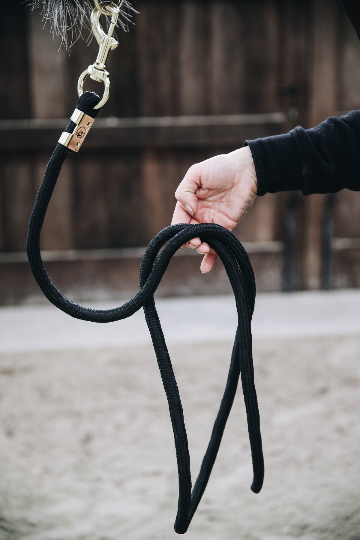 Kentucky Lead Rope Basic