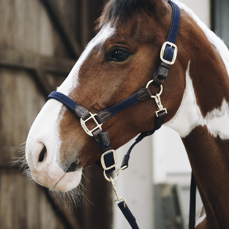 Kentucky Plaited Nylon Grime