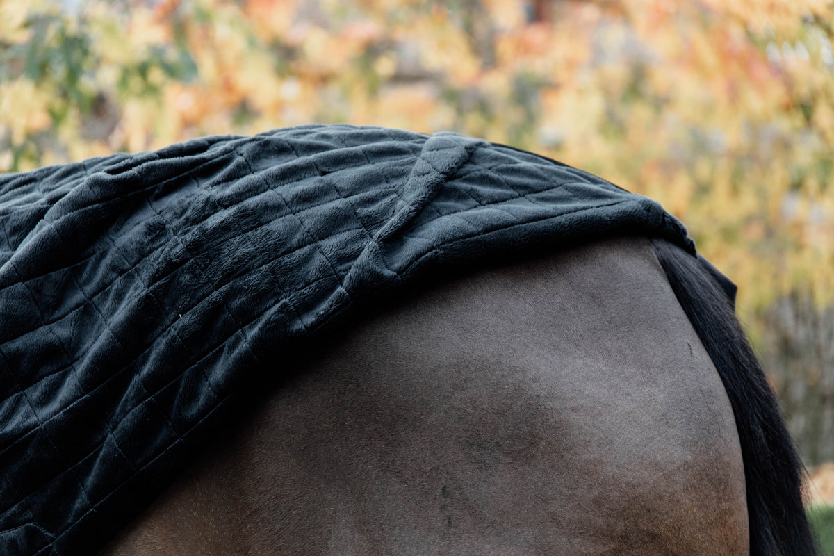 Kentucky Stable Rug 0g.