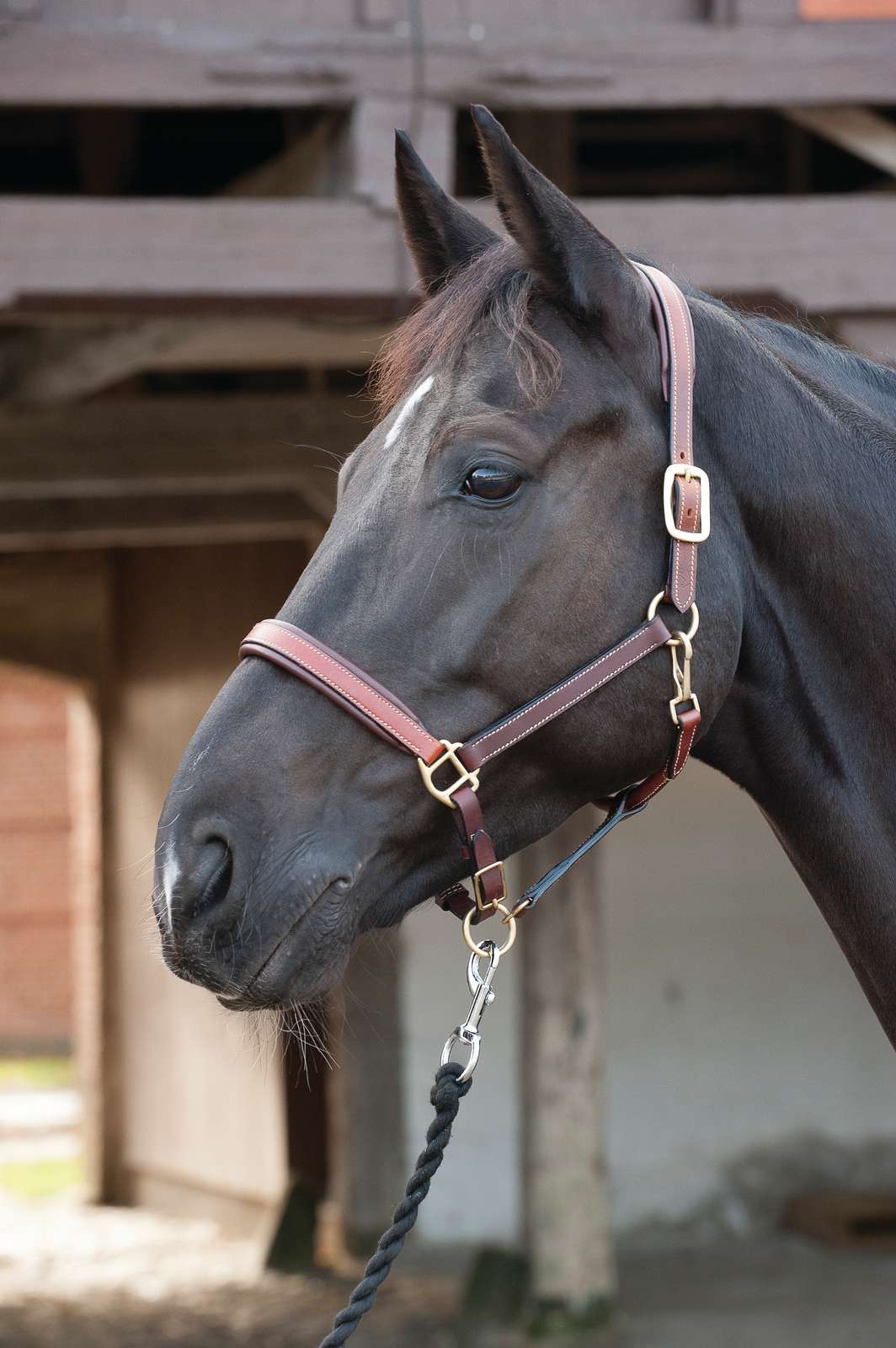 HorseGuard Læder grime