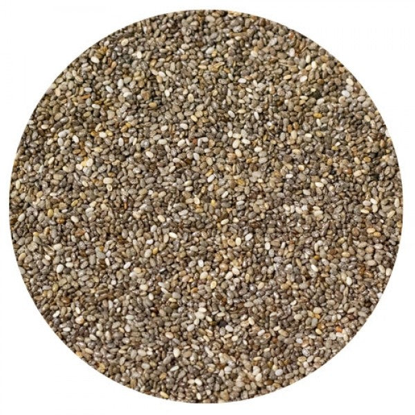 Dangro Nordic Amequ Chia