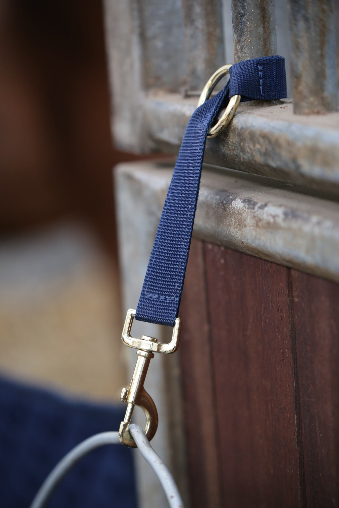 Kentucky Hook & Ring