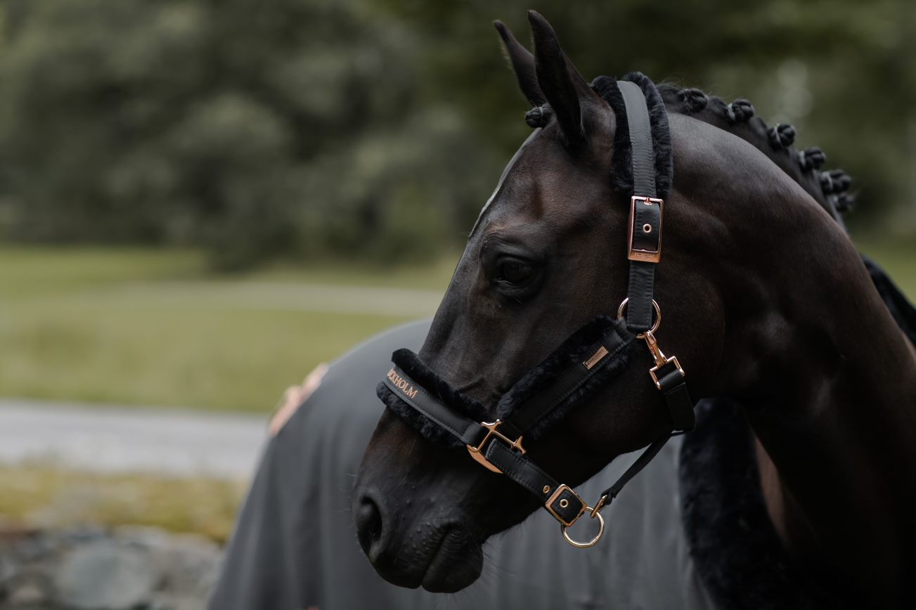 Equestrian Stockholm Dark Sky Grime + Træktov
