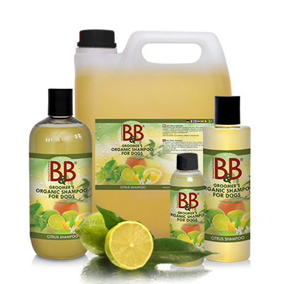 B&B Citrus Shampoo