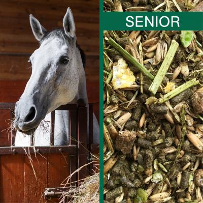 Horsepro Senior - Bestillingsvare