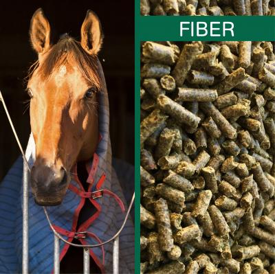 HorsePro Fiber