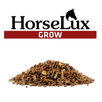 Horselux Grow