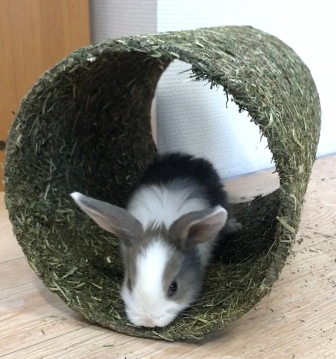 JR Farm Høtunnel
