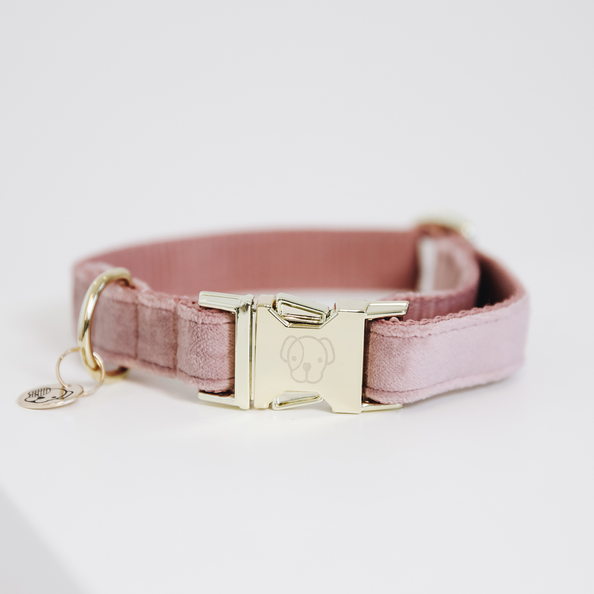 Dog Collar Velvet Halsbånd