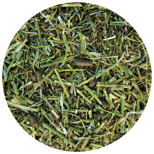 Dangro Nordic Lucerne Topmix Omega-3