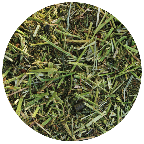 Dangro Nordic Lucerne Topmix Special
