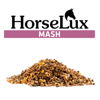 Horselux Mash